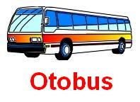 Otobus.jpg