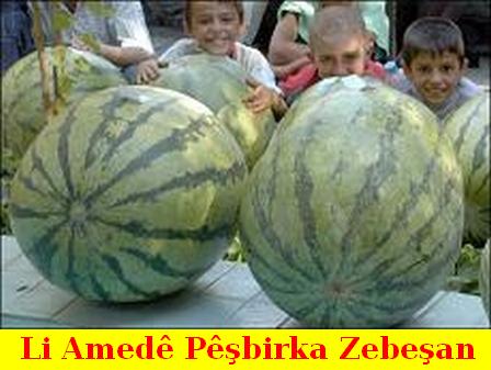 Pesbirka_Zebesan_2.jpg