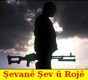 Pesmerge_7535.jpg