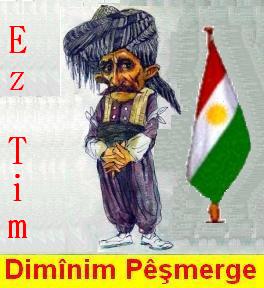 Pesmerge_Diminim_02.jpg