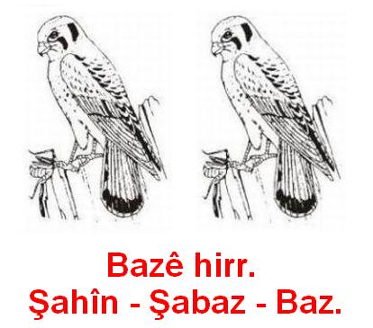 Sahin_Sabaz_2.jpg