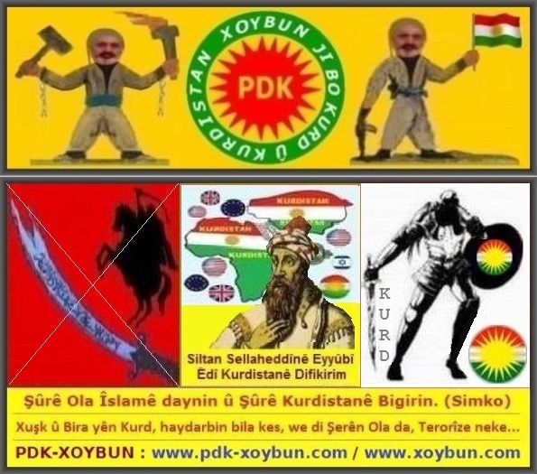 Selhedine_Eyubi_Edi_Kurdistane_Difikirim_Nu_2015_a2.jpg