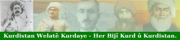 Seroken_Kurda_x0a.jpg