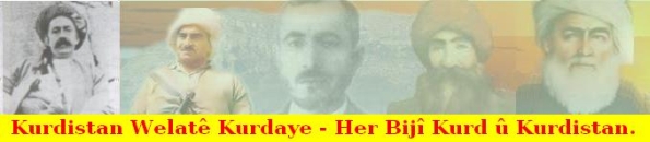 Seroken_Kurda_xx02.jpg
