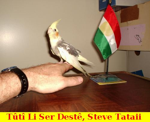 Steve_Tataii_2122.jpg