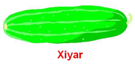 Xiyar_1.jpg