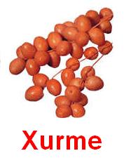 Xurme.jpg