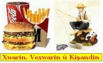 Xwarin_Vexwarin_Kisandin_1.jpg