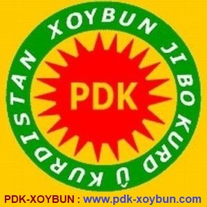 xoybun_1.jpg