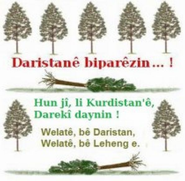 Hun_ji_Daraki_Daynin_2.jpg