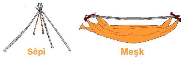 Meshk_1.jpg