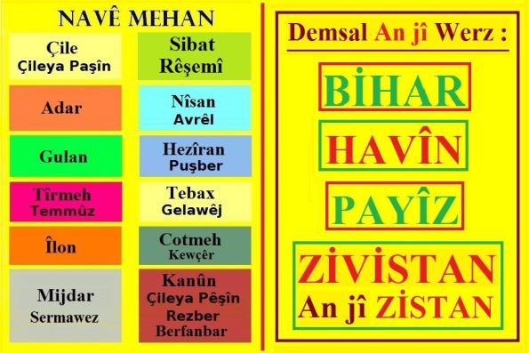 Nave_Mehan_1.jpg