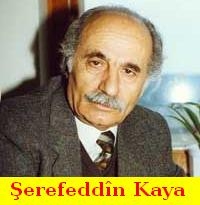 Av_Serefeddin_Kaya_1.jpg