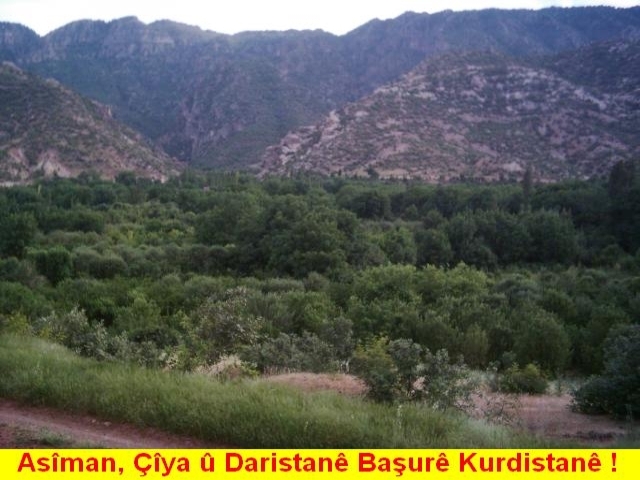 Daristana_Basure_Kurdistan_2.jpg